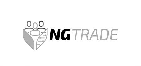 Logo NG_Trade_cinza